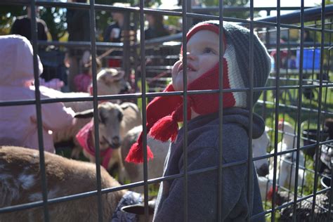 Son1 At His 2nd Birthday Party Petting Zoo Party Zoo Party Zoo Animals