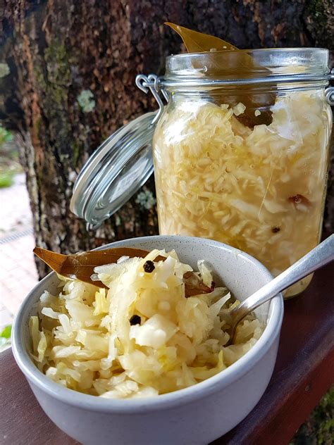 Homemade Sauerkraut A Traditional German Recipe Recipes Homemade