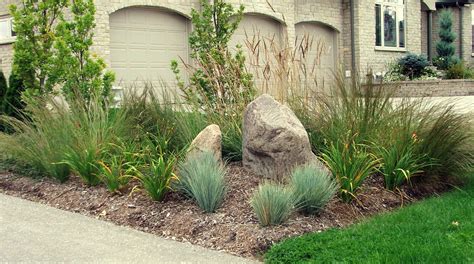 Hardy Grasses And Shrubs Landscape Design Sustainable Landscaping