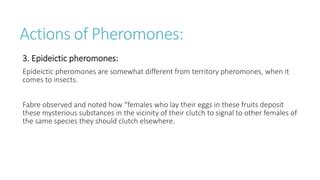 Pheromones.pptx