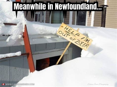 Meanwhile in Newfoundland - 🇨🇦 Canada Memes