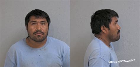 Gonzalez Francisco Angeles Hidalgo County Mugshots Zone