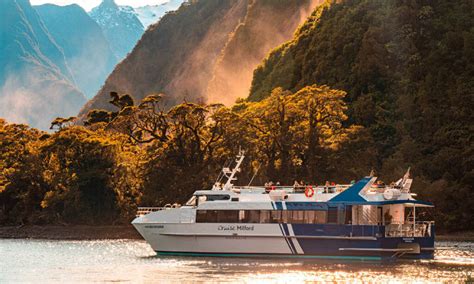 Boutique Milford Sound Cruise - Book Now | Experience Oz