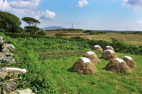 Clifden Beach Road / Sky Road Walk - Walks on connemara.net