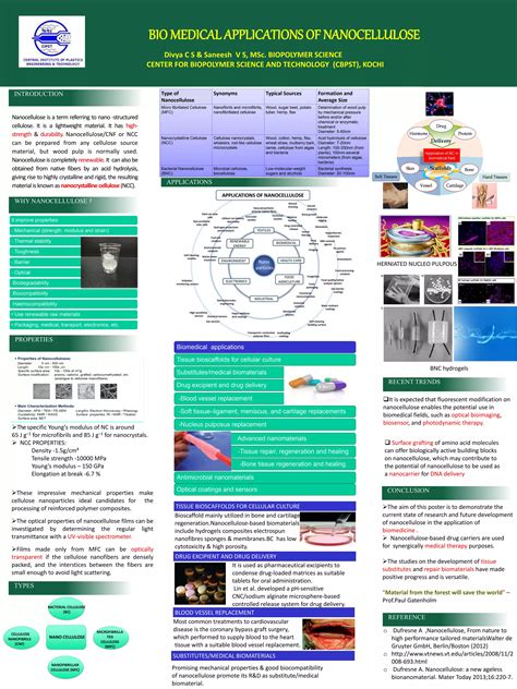 BIO MEDICAL APPLICATIONS OF NANOCELLULOSE | PDF