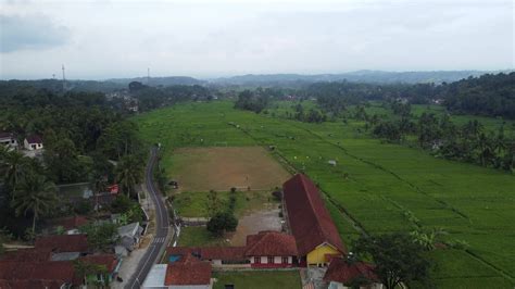 aerial view of rice fields 35400471 Stock Video at Vecteezy