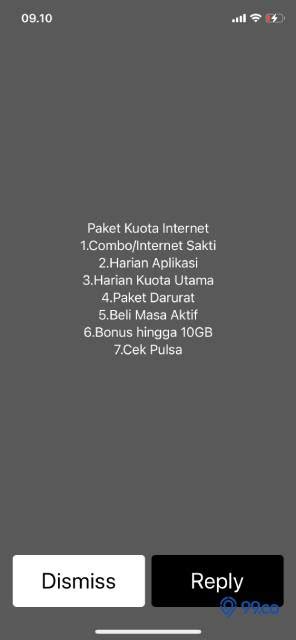 7 Cara Cek Kuota Telkomsel Yang Mudah Dan Praktis Tak Perlu Repot