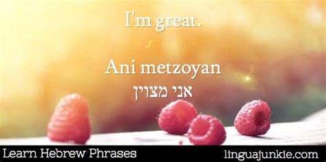 Top 20 Hebrew Conversational Phrases, Questions You Need Pt 2