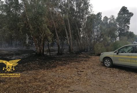 Appicca Rogo In Sud Sardegna E Viene Visto Arrestato 79enne Notizie