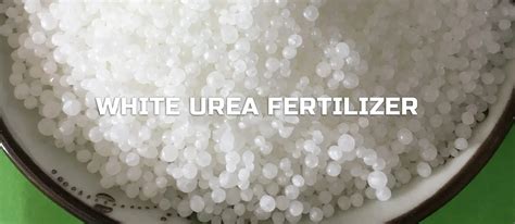 Prilled Granularurea Fertilizer 46 0 0urea N46 Buy Agricultural