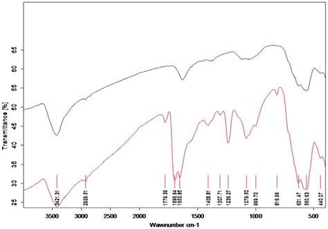 Fourier Transform Infrared Spectroscopy Spectra Of Spions Blue Curve