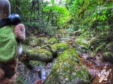 Parque Nacional da Serra dos Órgãos Guapimirim e Teresópolis