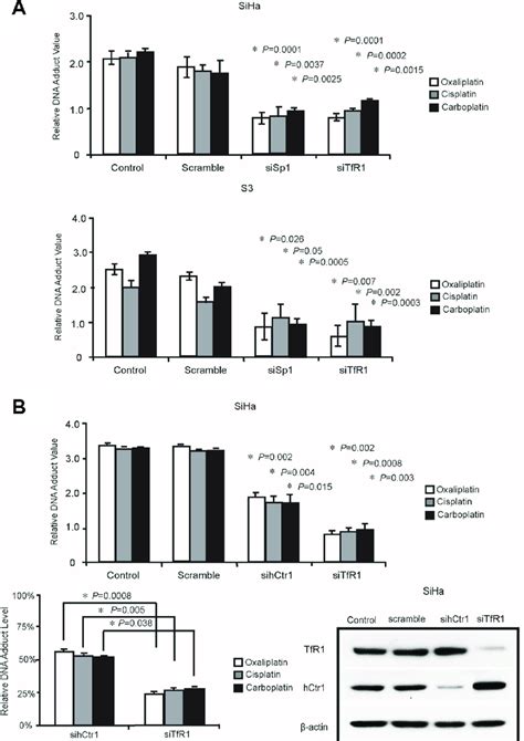 Tfr Promoted Dna Adduct Formation Through Sp A Sp Or