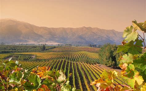 Valle De Colchagua La Noche En Vino