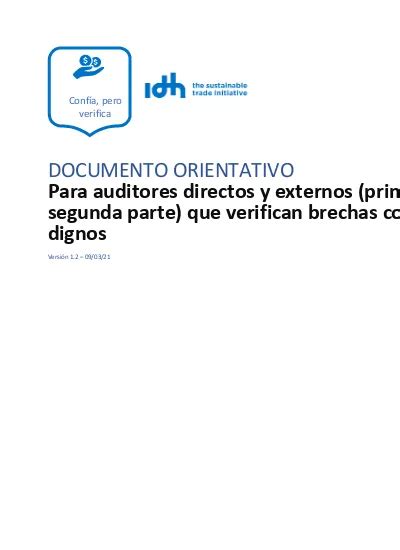 DOCUMENTO ORIENTATIVO Para Auditores Directos Y Externos Primera Y