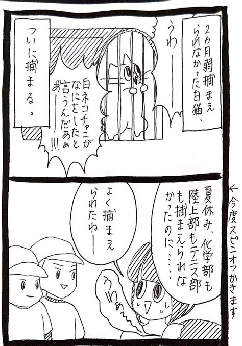 うさぎのみみちゃん😇1119土1120日デザフェスm428~430の漫画