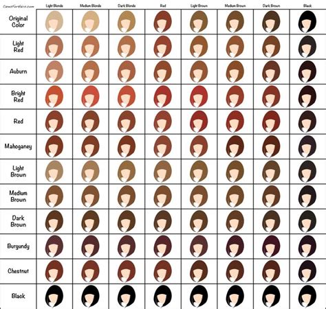 Henna Hair Dye Color Chart Cares For Hairs Hair Chart Henna Hair