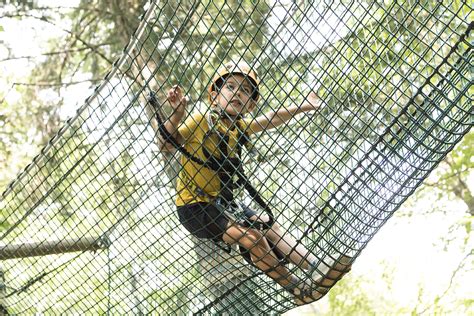 Prezzi E Percorsi BOSCOPARK Parco Avventura Bosco Chiesanuova