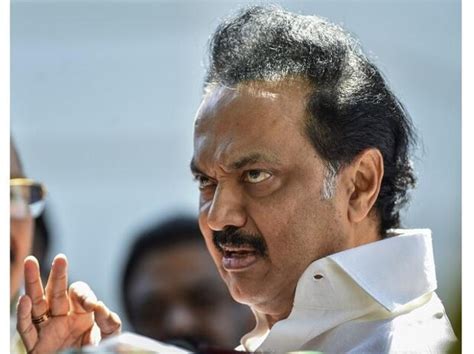 Cm M K Stalin To Head Reconstituted Tamil Nadu Wildlife Board