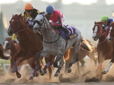 【みやこs出走馬・騎手確定】オメガパフュームand横山和生騎手、ハピand横山典弘騎手など16頭 競馬ニュース Netkeiba