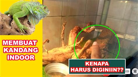 Cara Membuat Diorama Kandang Indoor Untuk Iguana Youtube