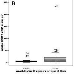 Fig Ure 1 TS A GARFT B And DHFR C Gene Ex Pres Sions In 45 Tu