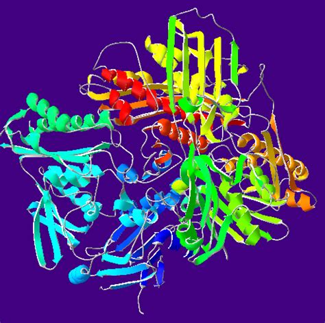 Xanthine oxidase - wikidoc