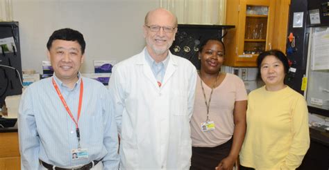 Professor Anton Reiner Of Uthsc Receives 617 388 Grant For Huntington