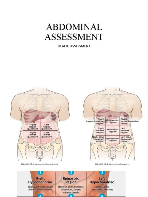 Abdominal Assessment Pdf