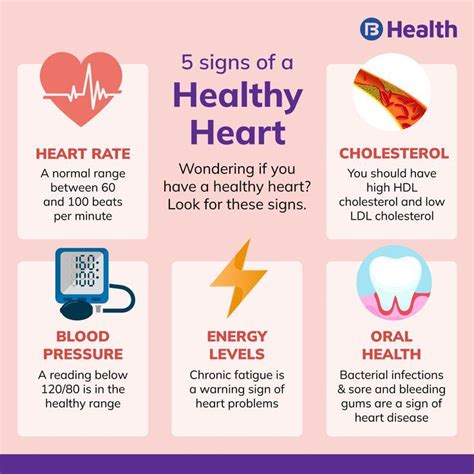 Heart murmurs symptoms causes types and treatment – Artofit