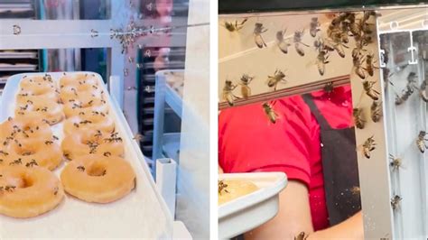 Bees Swarm Donuts At A Krispy Kreme Store