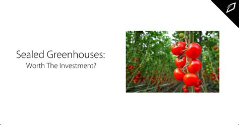 Are Sealed Greenhouses Worth The Investment Growlink