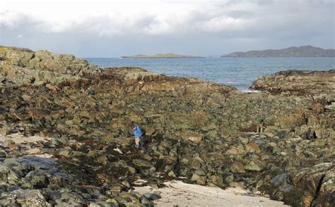 Beachcombing Clashnessie Assynt Field Club