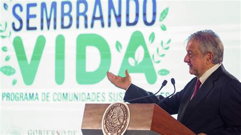 Anuncia Presidente AMLO Arranque De Sembrando Vida YouTube