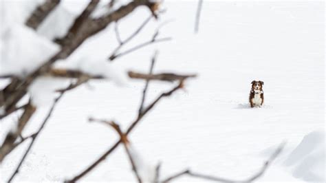 Schnee Im Norden Und Westen Des Landes Wetter Bleibt Zweigeteilt