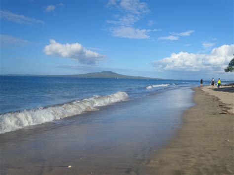 Exploring the Milford Beach Reserve