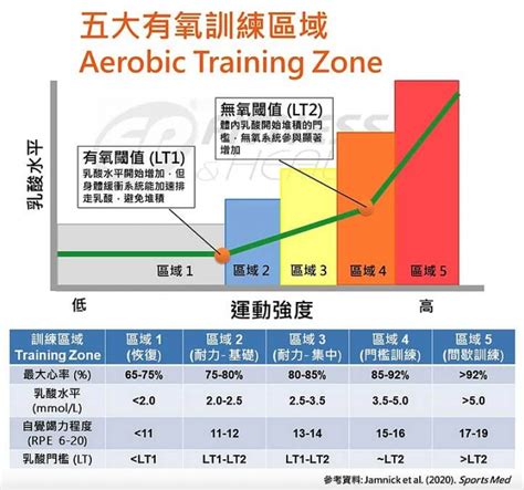 提升耐力 五大訓練區域（training Zone） 網誌 運動筆記