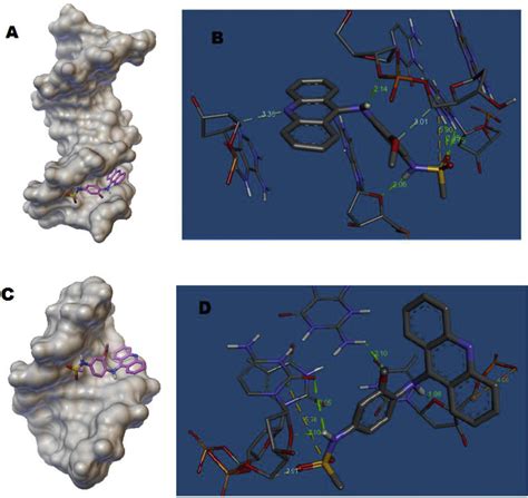 Figure 1 From Development Of A New Electrochemical DNA Biosensor Based