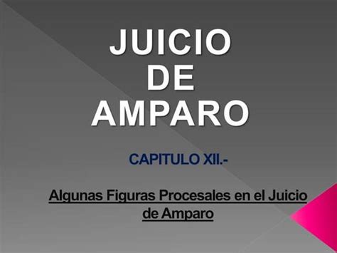 Principios Rectores Del Juicio De Amparo Parte 2