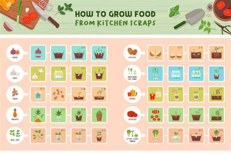 Vegetables You Can Grow From Scraps The Imperfectly Happy Home