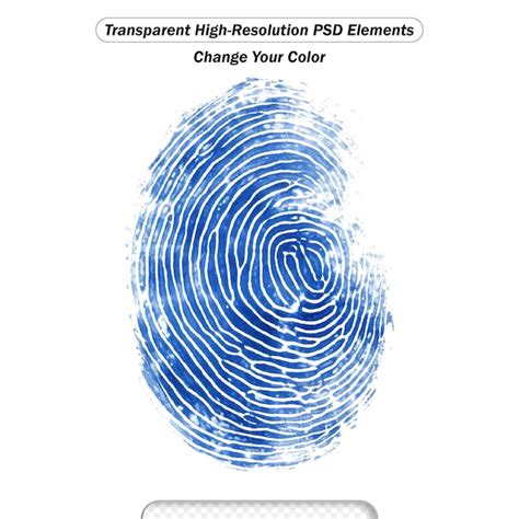 P Gina Psd Prova Identidade Modelos Psd Gr Tis De Alta Qualidade