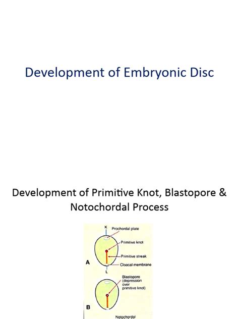 Emb Disc | PDF