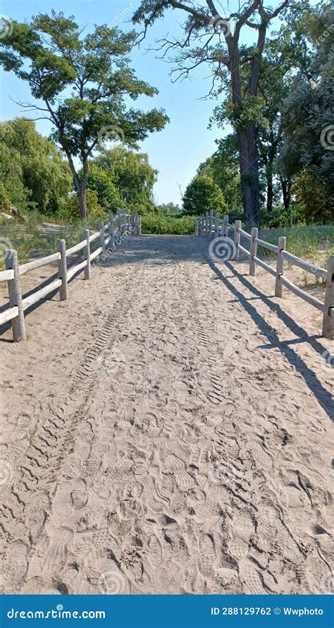 Hanlan S Point Nude Beach View On Toronto Islands Stock Photo Image