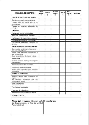 Autoevaluación Ejemplos Formatos Word Excel