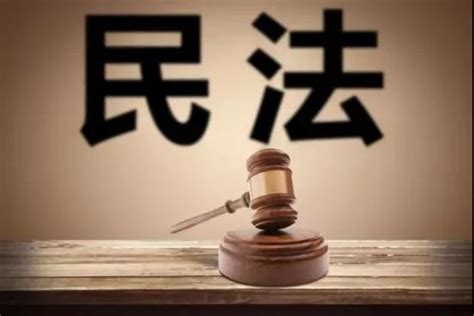 《民法典》总则篇的法律规定及亮点 法律新闻 法律新闻 民事nbsp法律民法典规定总则行为保护第一