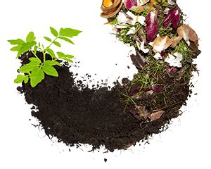 Como Hacer Compost En Casa F Cil Lombrimaule