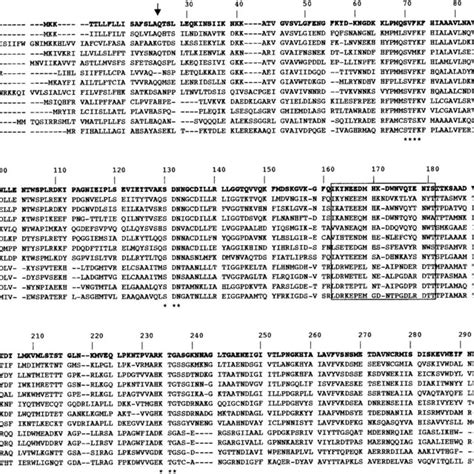 Amino Acid Sequence Comparison Of 12 Representative Class A Esbls The