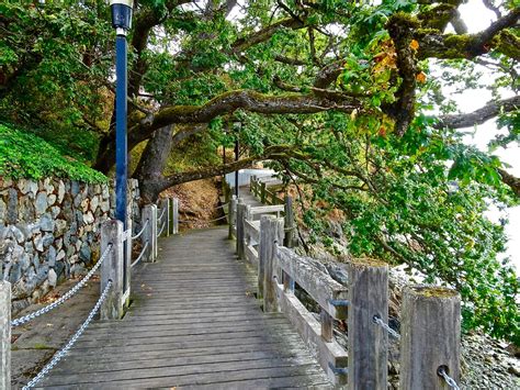 Walkway Path Victoria - Free photo on Pixabay - Pixabay