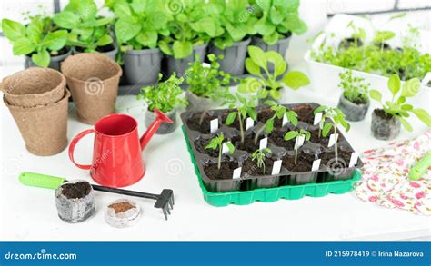 садовые инструменты и принадлежности для пересадки растений и ухода за ...