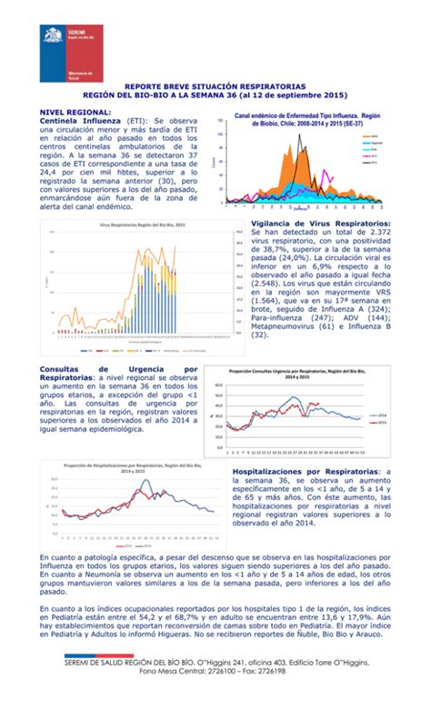 Formato Standar Seremi De Salud Región Del Biobío